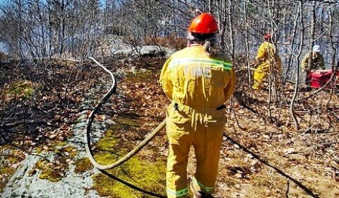 gh wildfire - Copy