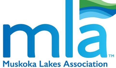 mla logo larger