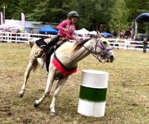 horse barrel front