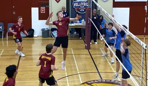 Gryphon Cameron Bird was a threat around the net opposition coaches warned their players.