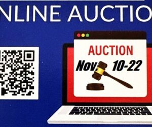 ROTARY ONLINE AUCTION poster