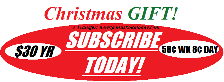 christmas gift subscription 2025