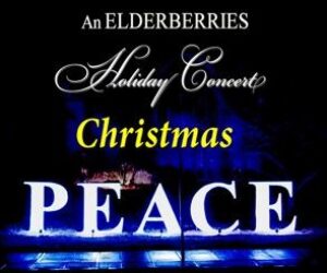 elderberries top poster front