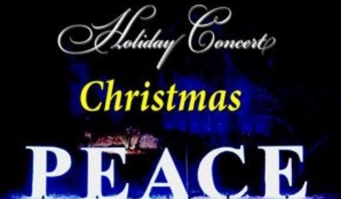 elderberries top poster front