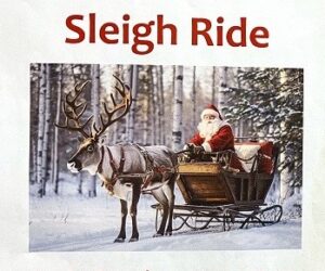 mcb sleigh front