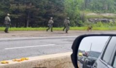 police-dog hillsdale