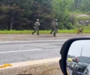 police-dog hillsdale