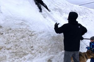 Is this an Olympic sport? Is this an Olympic sport?