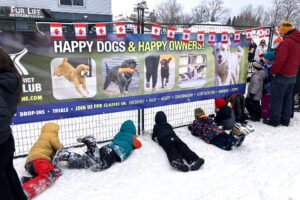 This was best way to watch doggie dash.