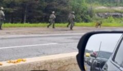 OPP canine home invasion