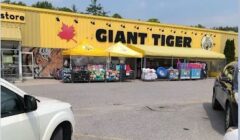 GIANT TIGER GRAB
