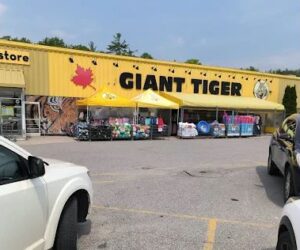 GIANT TIGER GRAB